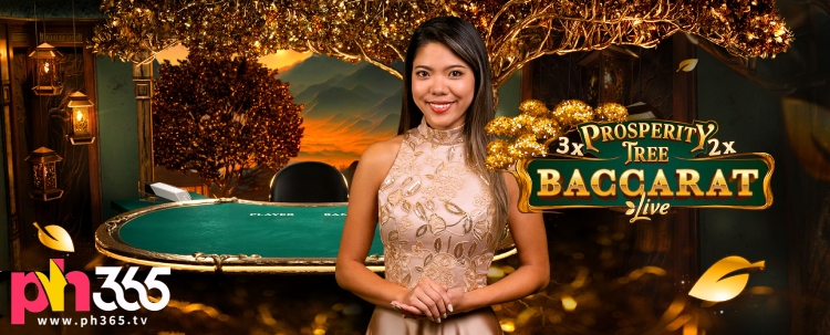 Prosperity Tree Baccarat is a unique multiplier variation of the classic Baccarat game, where prosperity descends upon you through an iconic tree of wealth!