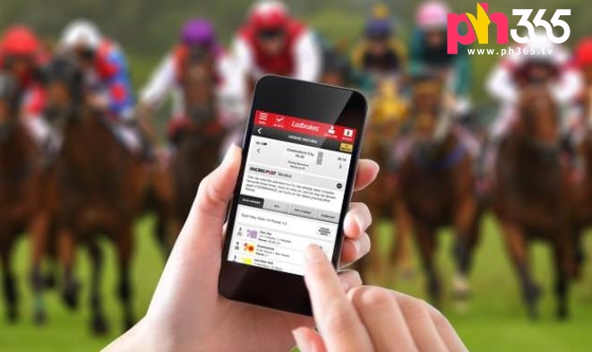 Understanding the Odds and Betting Options on the Ph365